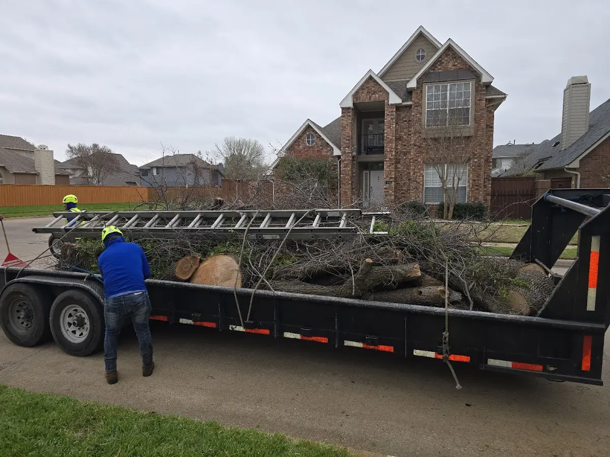 Expert Tree Removal with proper safety equipment in Maple City